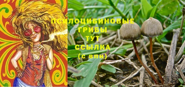 COCAINE Няндома