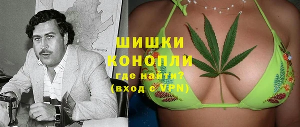 эйфоретик Тавда