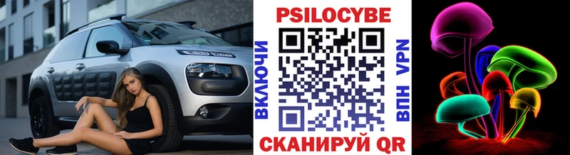 Псилоцибиновые грибы Psilocybe  блэк спрут рабочий сайт  Баймак  где купить наркотик 
